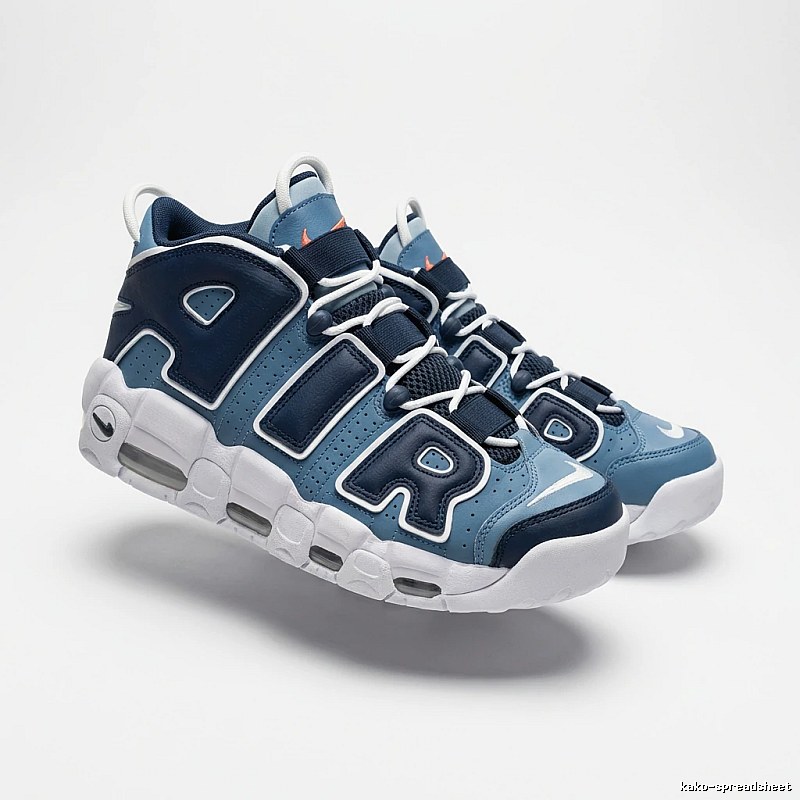 Nike Pippen Retro Style Blue and White Shoes