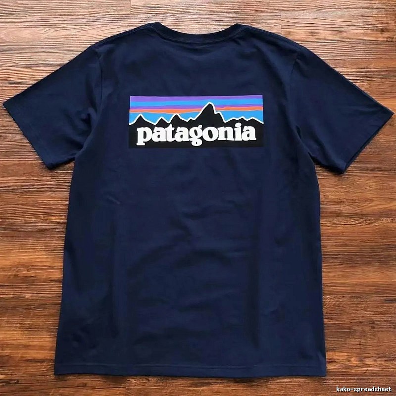Patagonia Navy Logo T-Shirt City Outfit Graphic